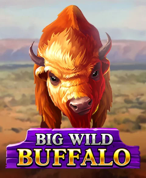 Play Big Wild Buffalo at Silk Bingo Casino